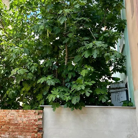 Lägenhet Rs-1 - Chaleureux 2 Pieces Au 1er Etage Equipe 1-3 Pers Mulhouse